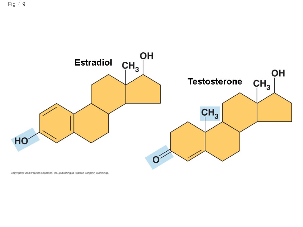 Fig. 4-9 Estradiol Testosterone